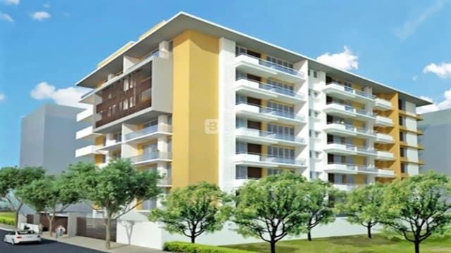 Imperial Navkis Celeste