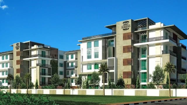 Legacy Soreno