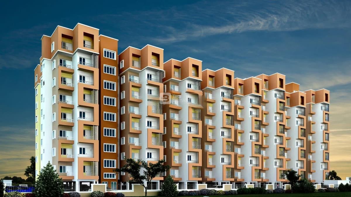 Maxworth Max Madhura 1