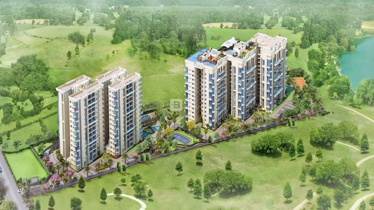 The Address The Five Summits 1