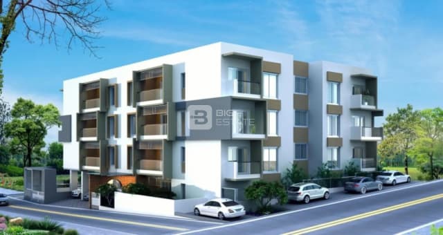 Renaissance Shanks Sunnyside