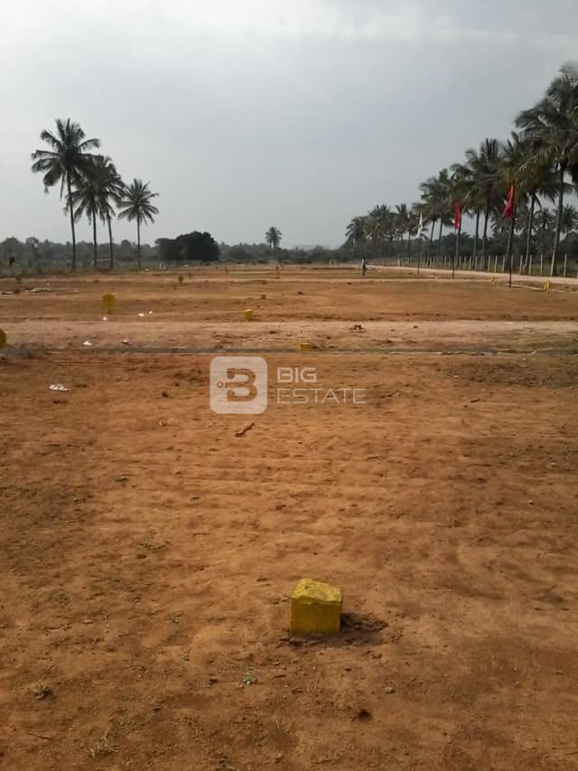 Tekton White Park