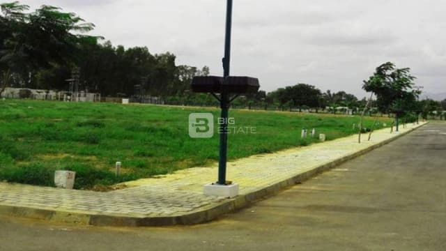 Ozone Urbana Meadows