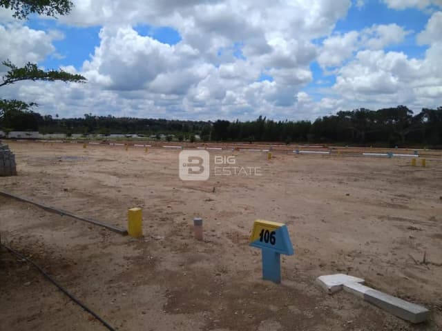 Icon Vensai Icon Temple Tree