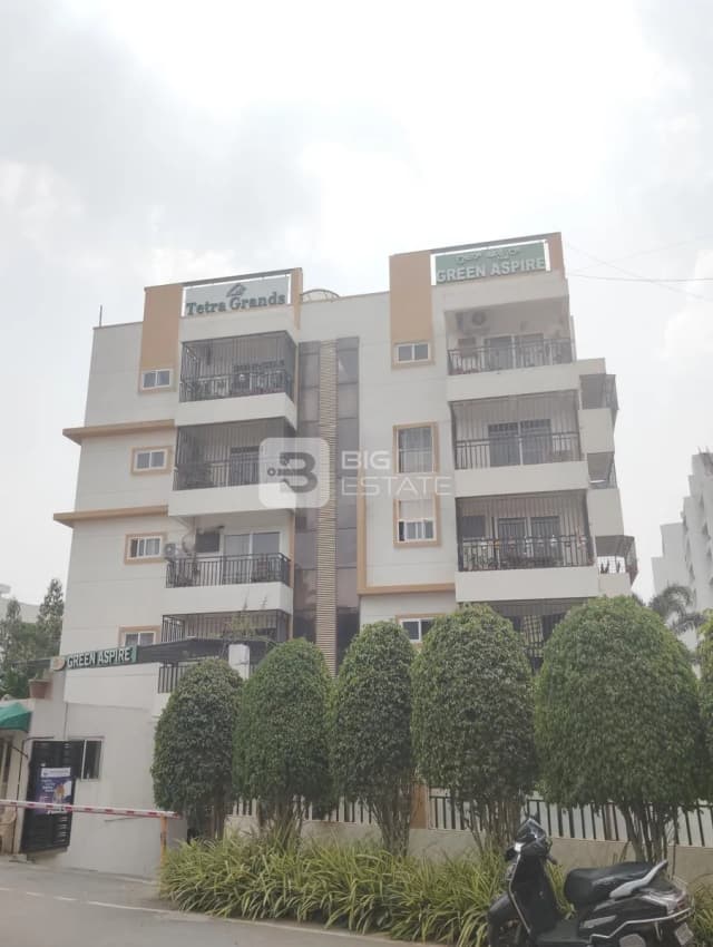 Tetra Grand Green Apple