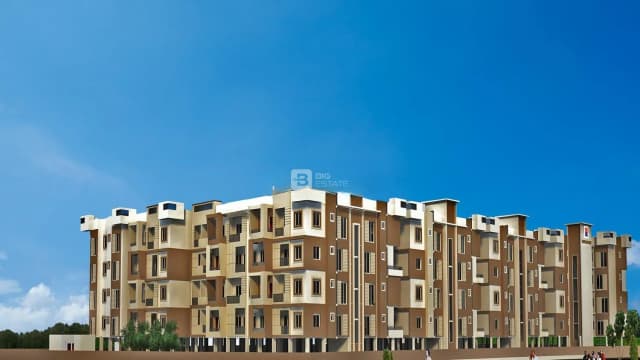 DSMAX SANDALWOOD