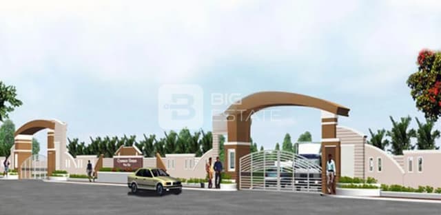 Cynosure Vivacity