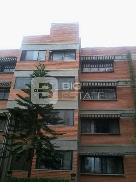 Total Environment Green is the colour 1