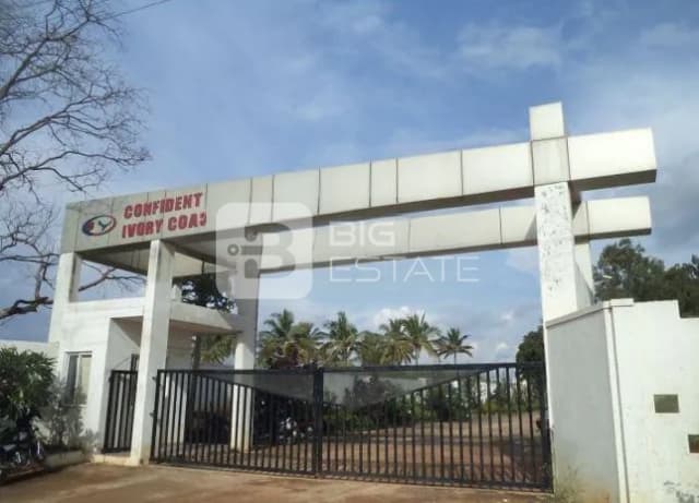 Confident Ivory Coast