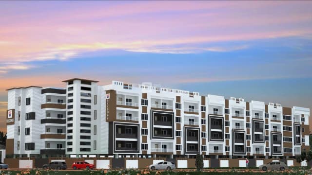 DS Max DSMAX SELDONS