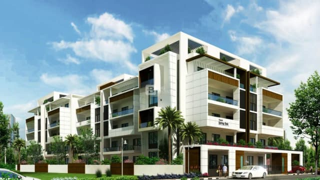 Elegant Springdale