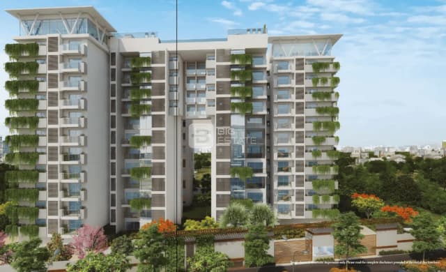 Kolte Patil 24K Grazio