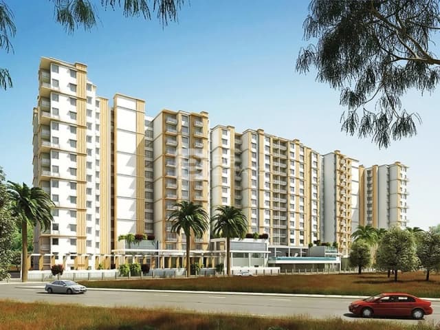 Prestige Pinewood