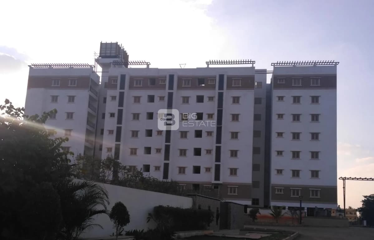 Shanders Dwellington 1