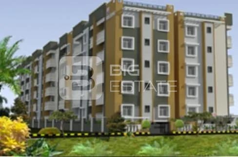 DS Max DSMAX SHELTONS