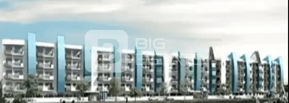 BML Palms