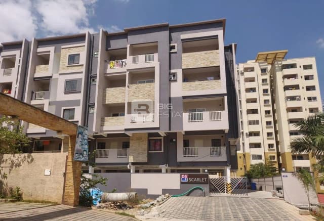 DS Max DSMAX SCARLET