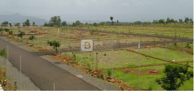 Citrus The Green Belt