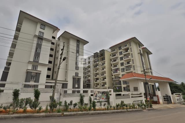 Elegant Whispering Winds