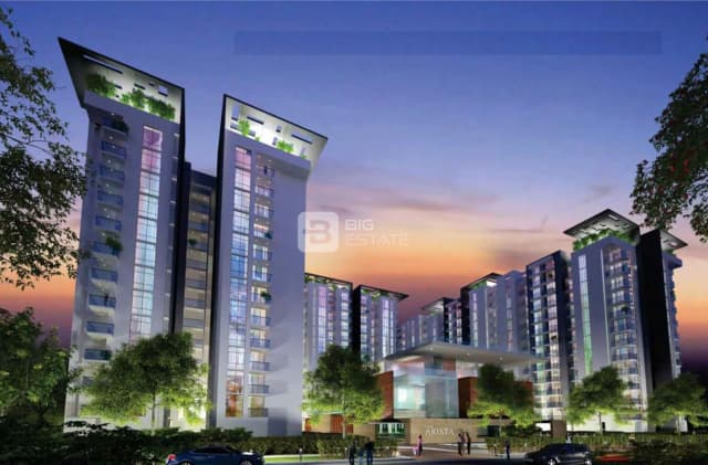 DNR Arista Phase 1