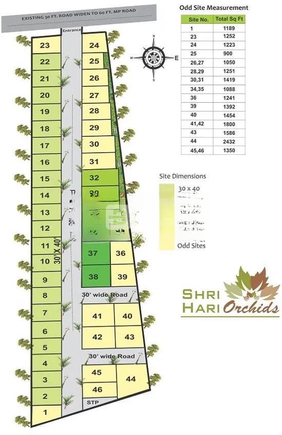 S And S Sri Hari Orchids