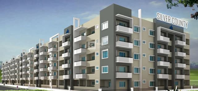 Ahad Silver County
