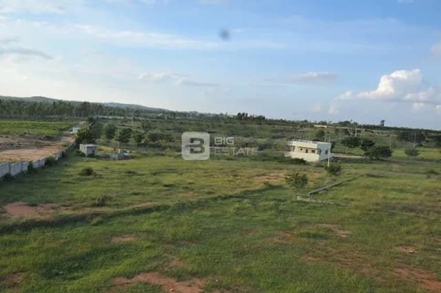 Divine BVS Divine Residency