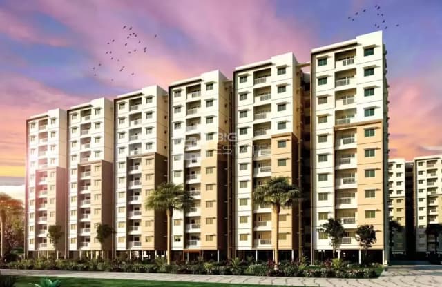 Provident White Okas