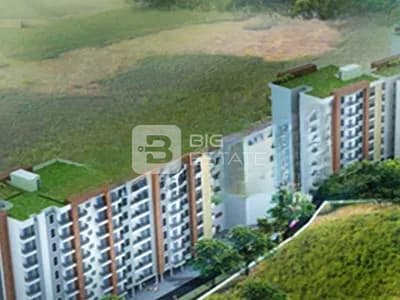 Trishul Mittal Palms 1