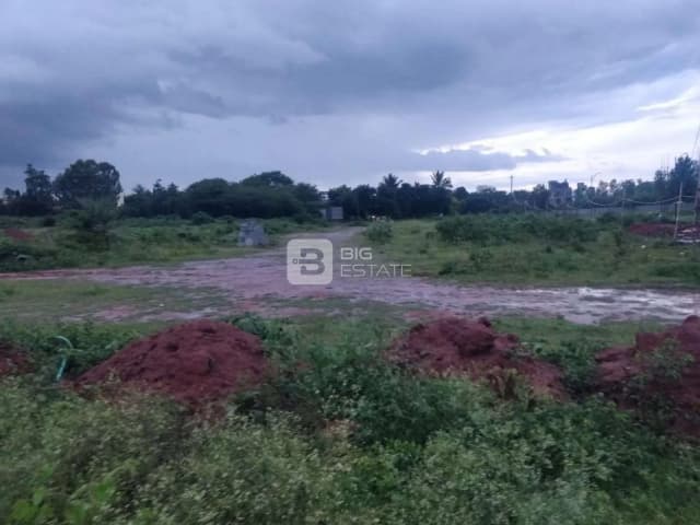 Pionier Orchard Avenue Phase 2