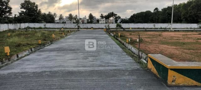 SRS Lakeview Habitat