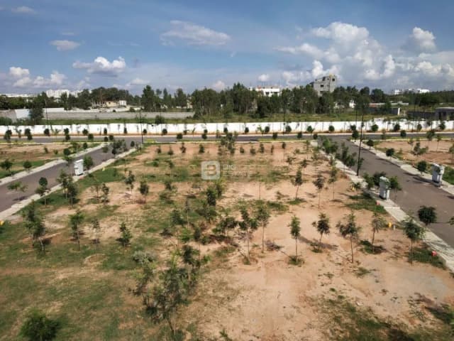 Odion The Woods Of East Phase 4