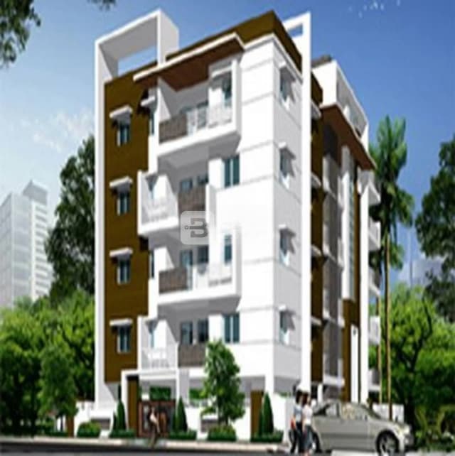 MSK Prominent Classic