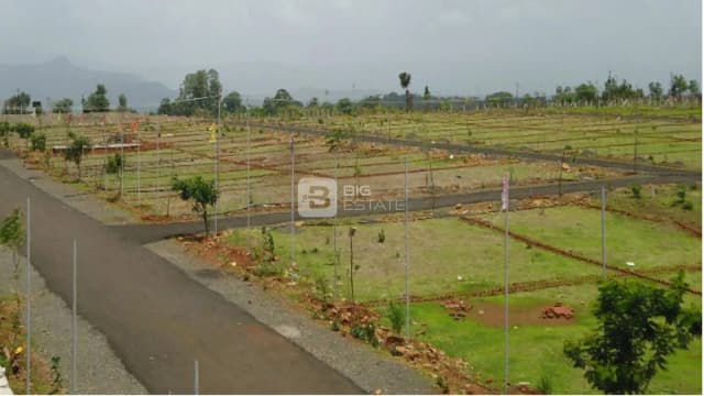 VR Sun City