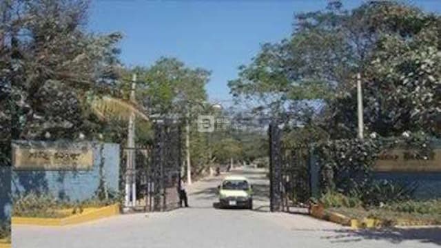 Samarkhand Sunny Brooks