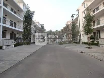 Central Park Flamingo Floors 1