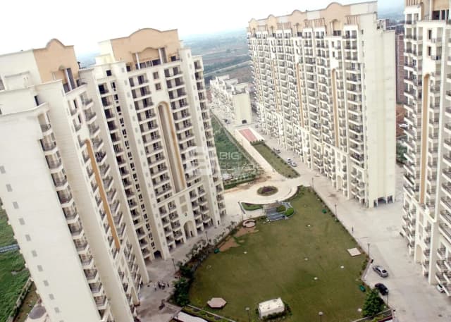 JMD Gardens