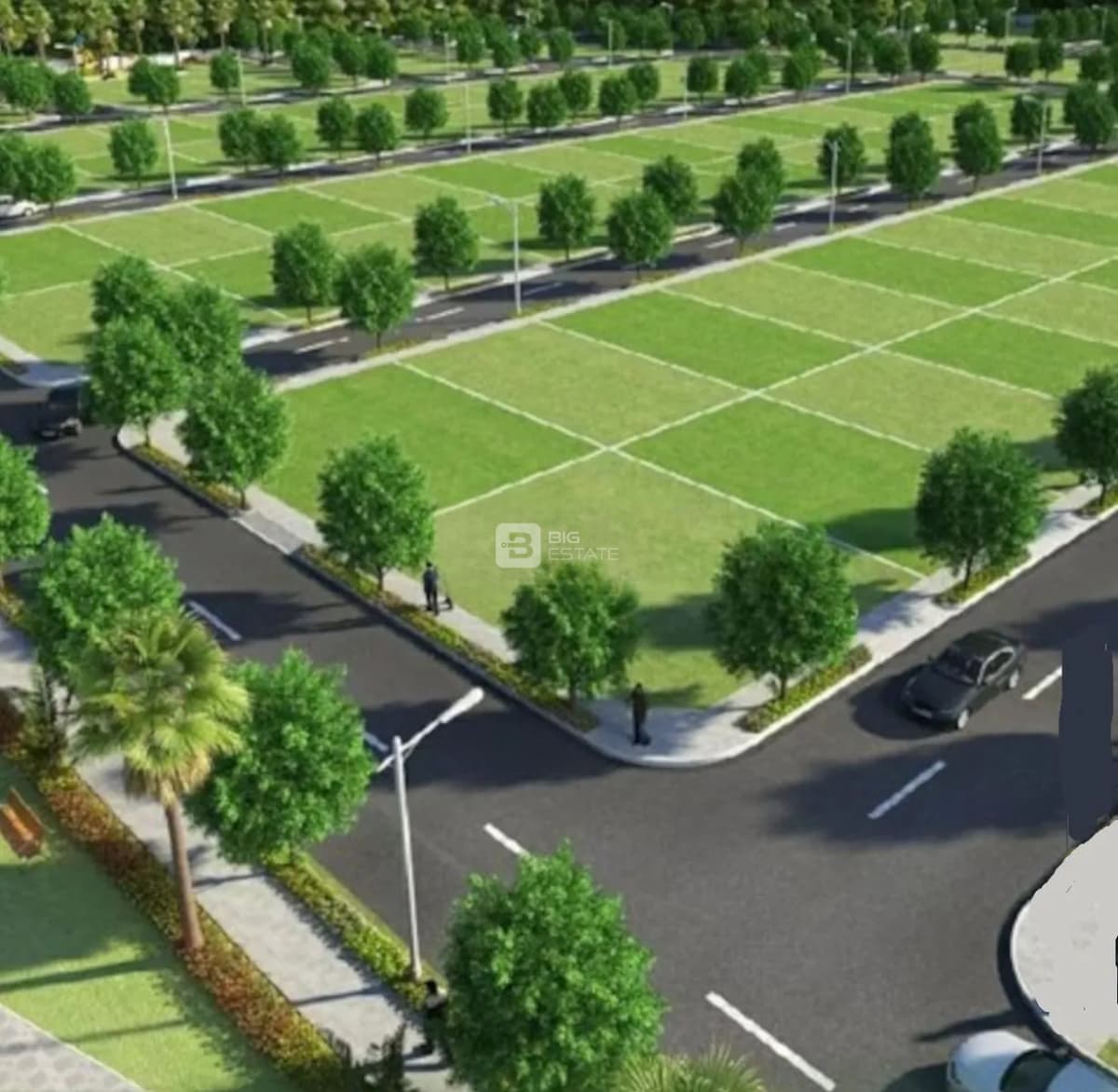 Faith Ireo Savannah 1