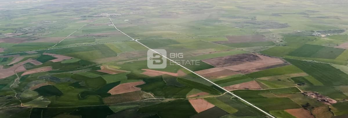 ROF Insignia Park 88 1