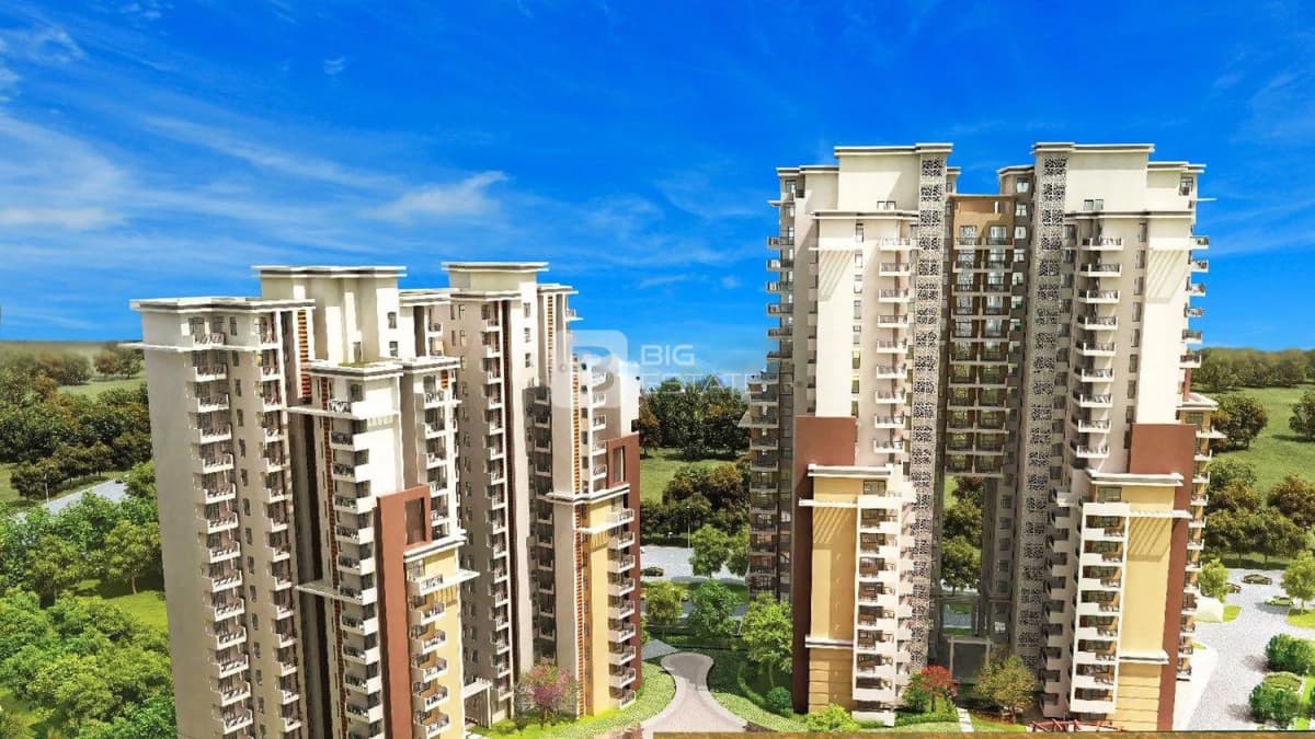 Orris The Blue Lagoon 1