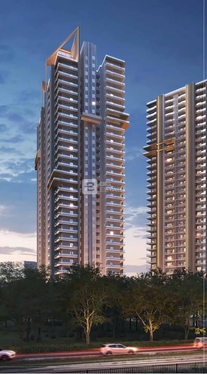 Sadan M2K Olive Green Floor 1