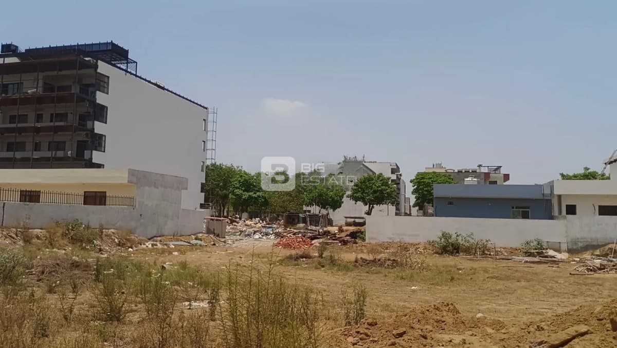 DLF Alameda Central 1