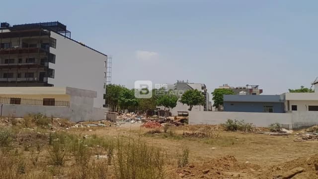 DLF Alameda Central