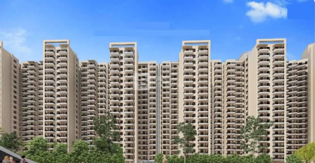 Rising Homes At DXP 92