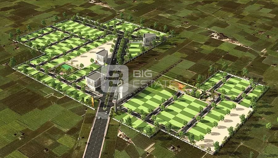 Skywhales Vienna Greens 1