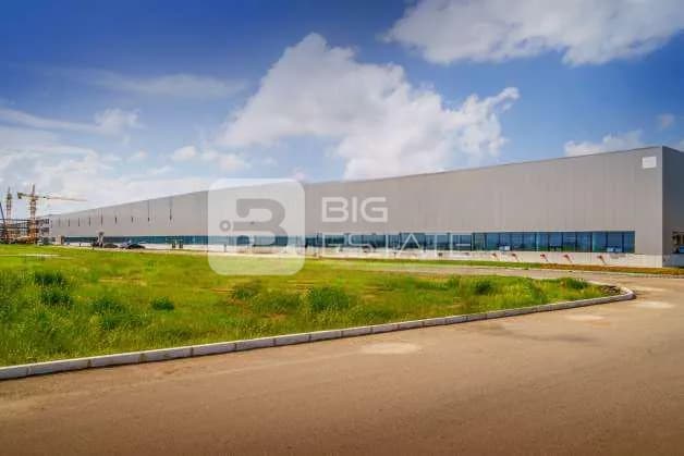 Worldwide The Golden City