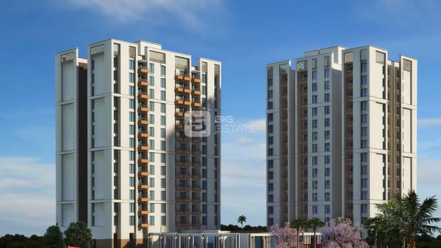 Silverglades Melia First Citizen