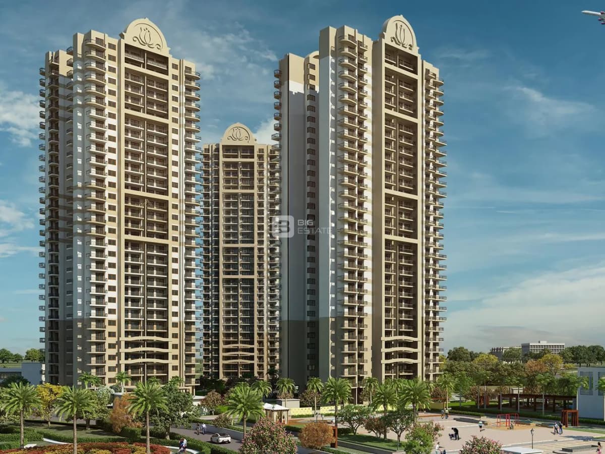 Haamid Aipl Boulevard 1