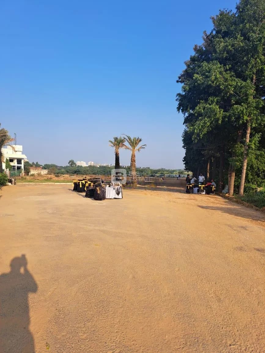 Pyramid Palm County 1