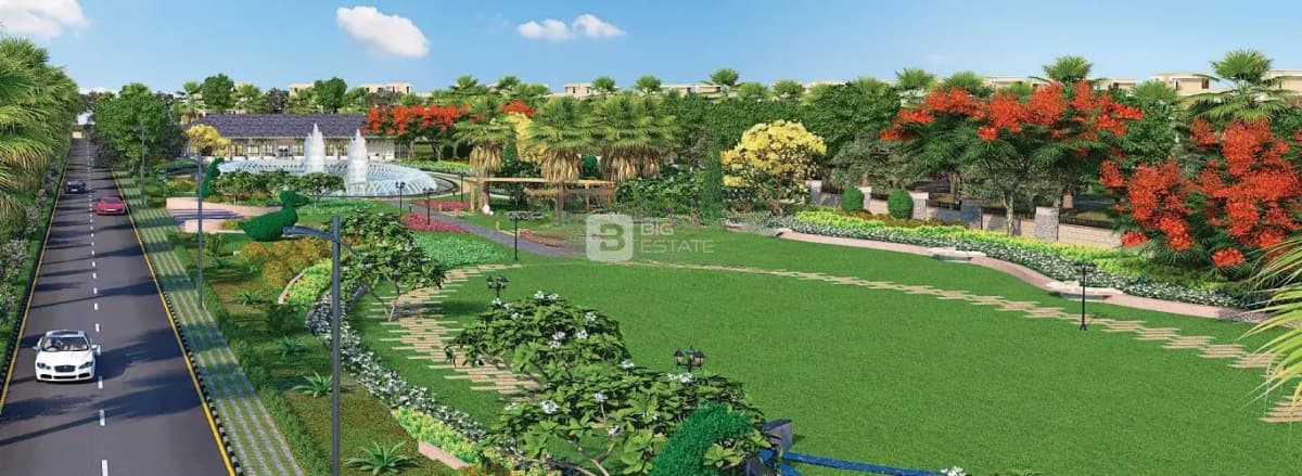 Central Park Flower Valley 1